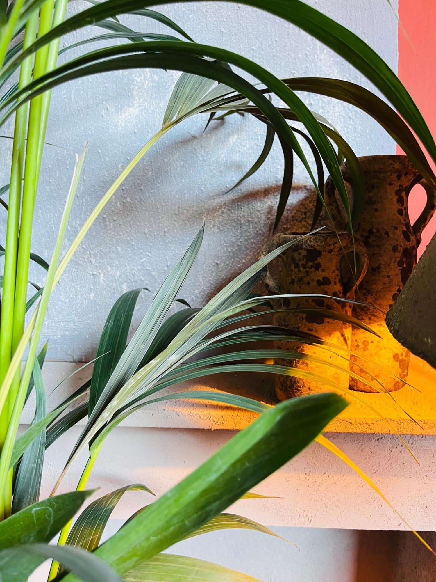 Guesthouse Nights By Morpheus Antwerpen Buitenkant foto